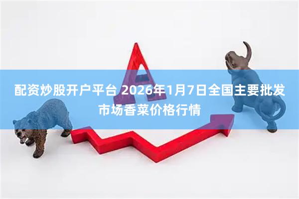 配资炒股开户平台 2026年1月7日全国主要批发市场香菜价格行情